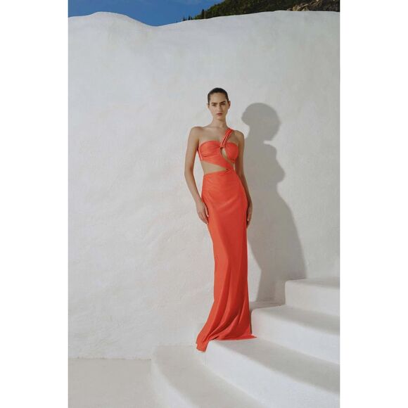 BAOBAB COLLECTION Joy Maxi Dress IN Terrana SIZE LARGE $285 - Picture 1 of 11